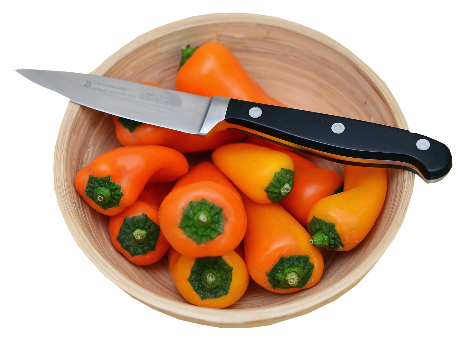 esempio di immagine del menu digitale